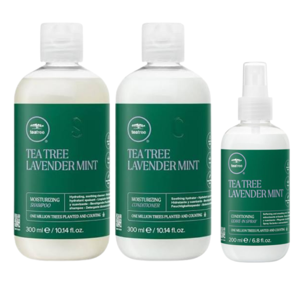 PAUL MITCHELL Tea Tree Lavender Mint rinkinys (šampūnas, kondicionierius, nenuplaunamas plaukų kondicionierius)